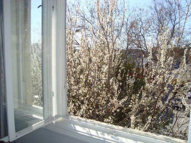 Riki Accommodation Спліт Номер фото